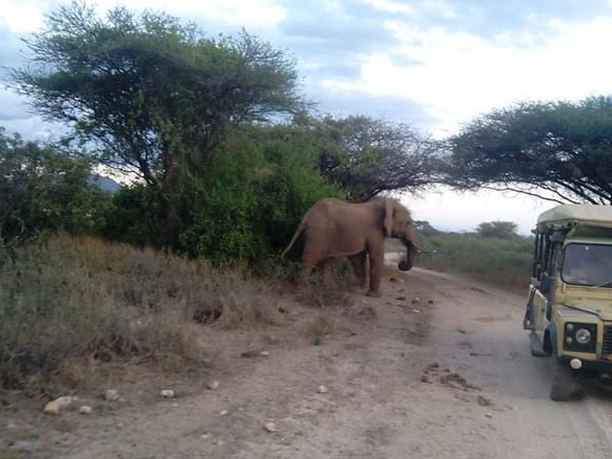 12 Days Kenya and Tanzania Budget Private Safari from Nairobi