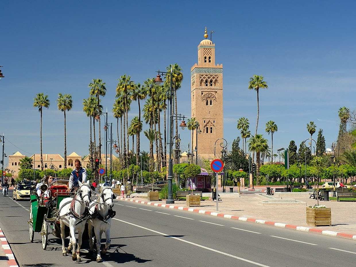 "Excursión de día completo a Marrakech - Tour privado desde Casablanca en Marruecos", photo 4
