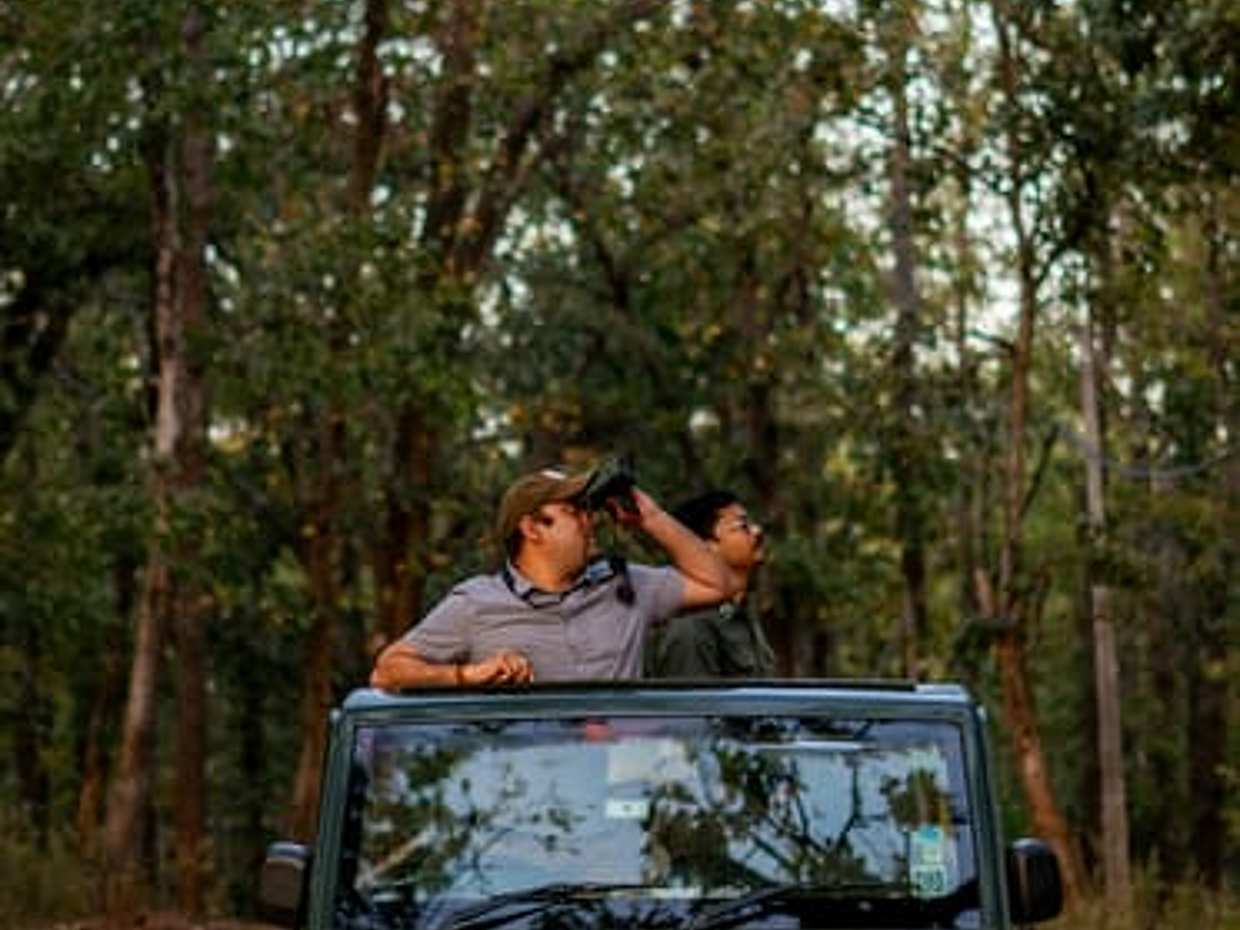 4-Day Private Jaipur & Ranthambore Wildlife Tour, photo 2