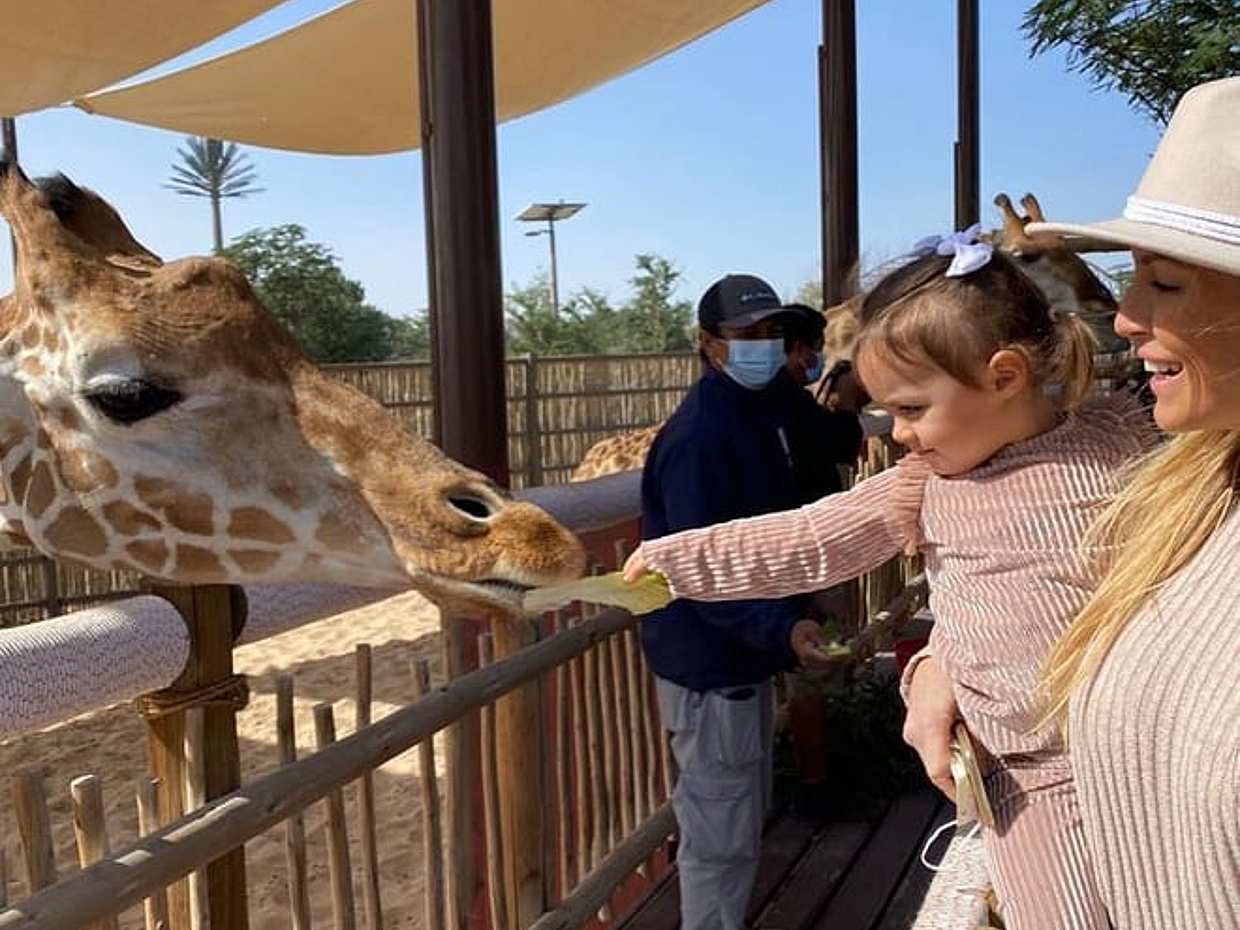 Dubai Safari Park in United Arab Emirates