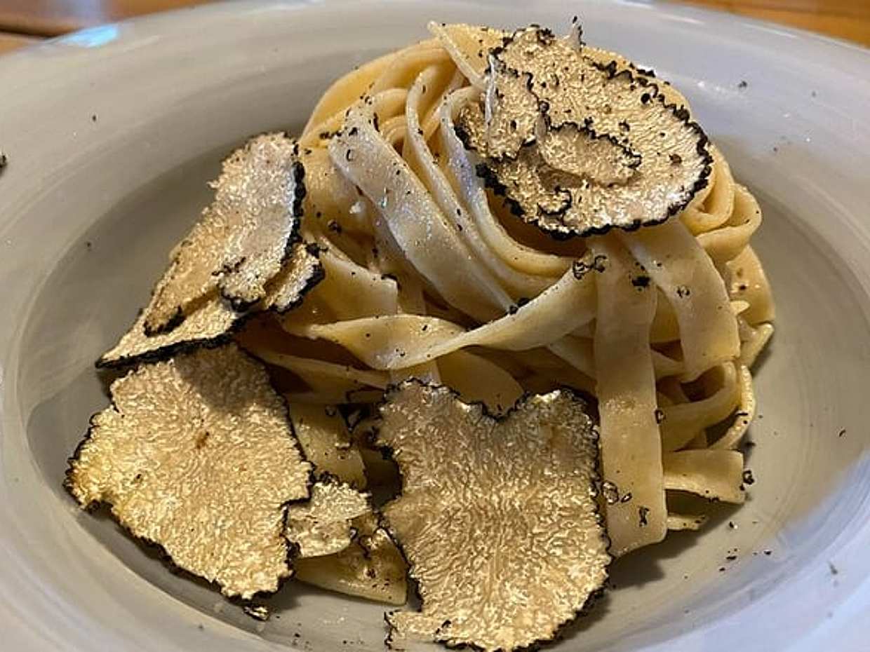 Truffle hunting experience with lunch and Chianti wine tasting, photo 5