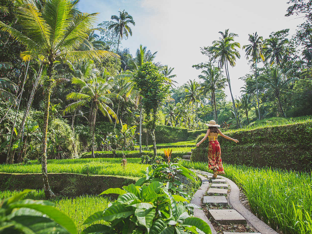 Bali Fun Filled Day, photo 3
