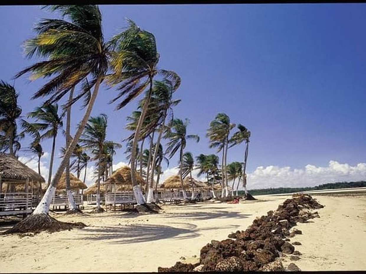 Marajó Island - 2D1N, Brazil, photo 3