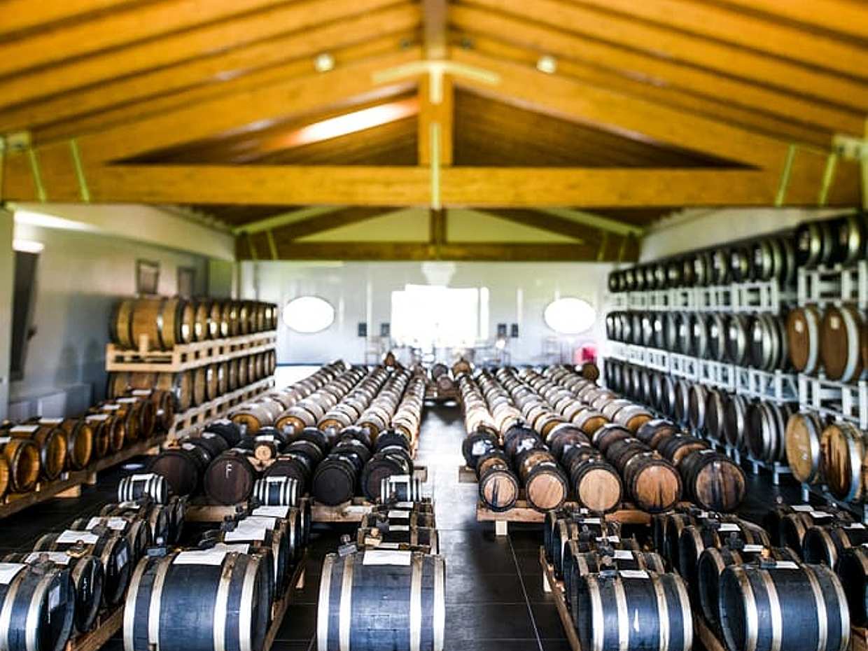 Modena: Balsamic Vinegar Tour, Parmigiano & Gelato Tasting, photo 2