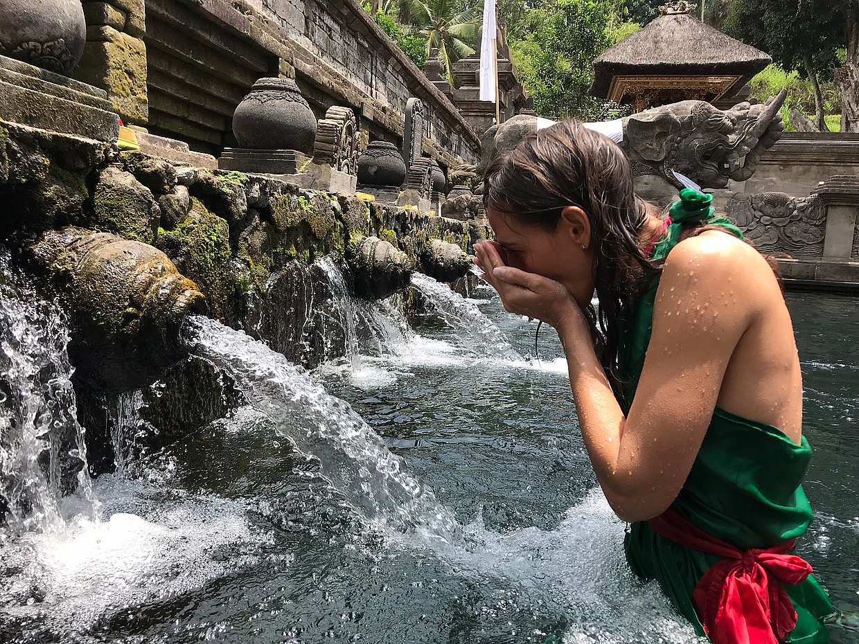 Ubud Sightseeing | balinese traditional house & holy water temple, photo 2