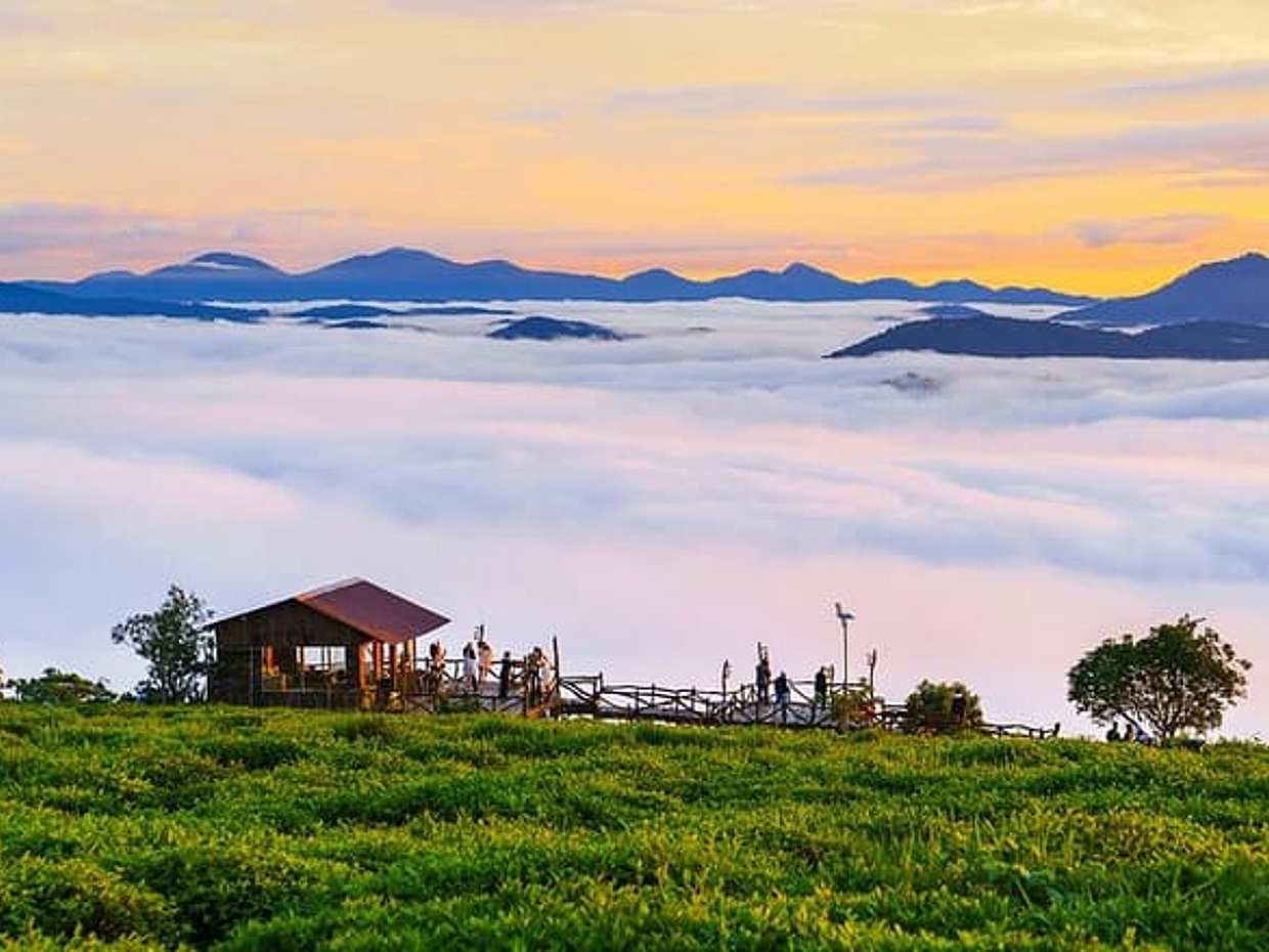 Cloud Hunting - Experience Dalat Special Products