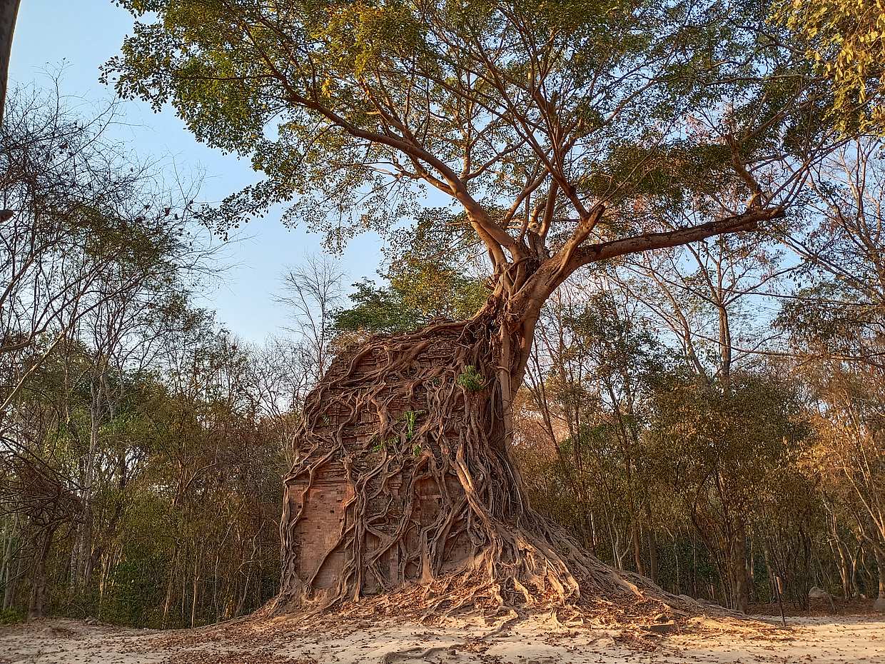 Private Two Day Adventure to Koh Ker & Preah Khan Kompung Svay in Cambodia, Krong Siem Reap, photo 4