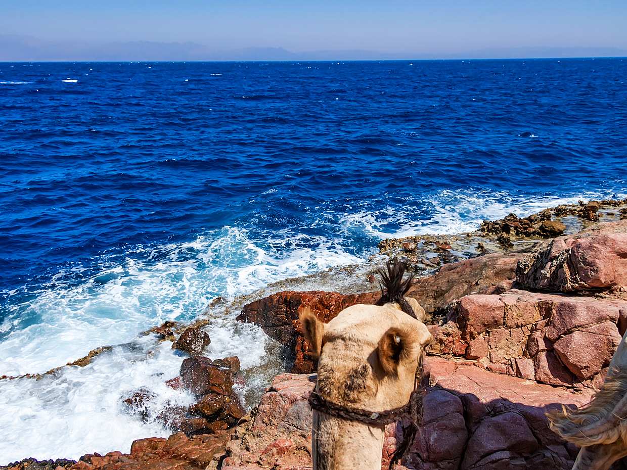 Canyon Salama Jeep Safari and Snorkeling in Egypt, Sharm El-Sheikh, photo 5