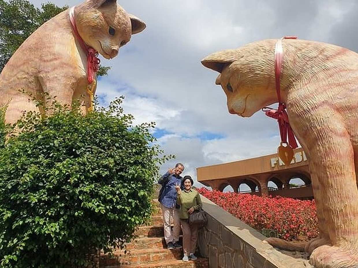 Da Lat Adventure: Full-Day Tour of New Attractions in 2025, photo 4