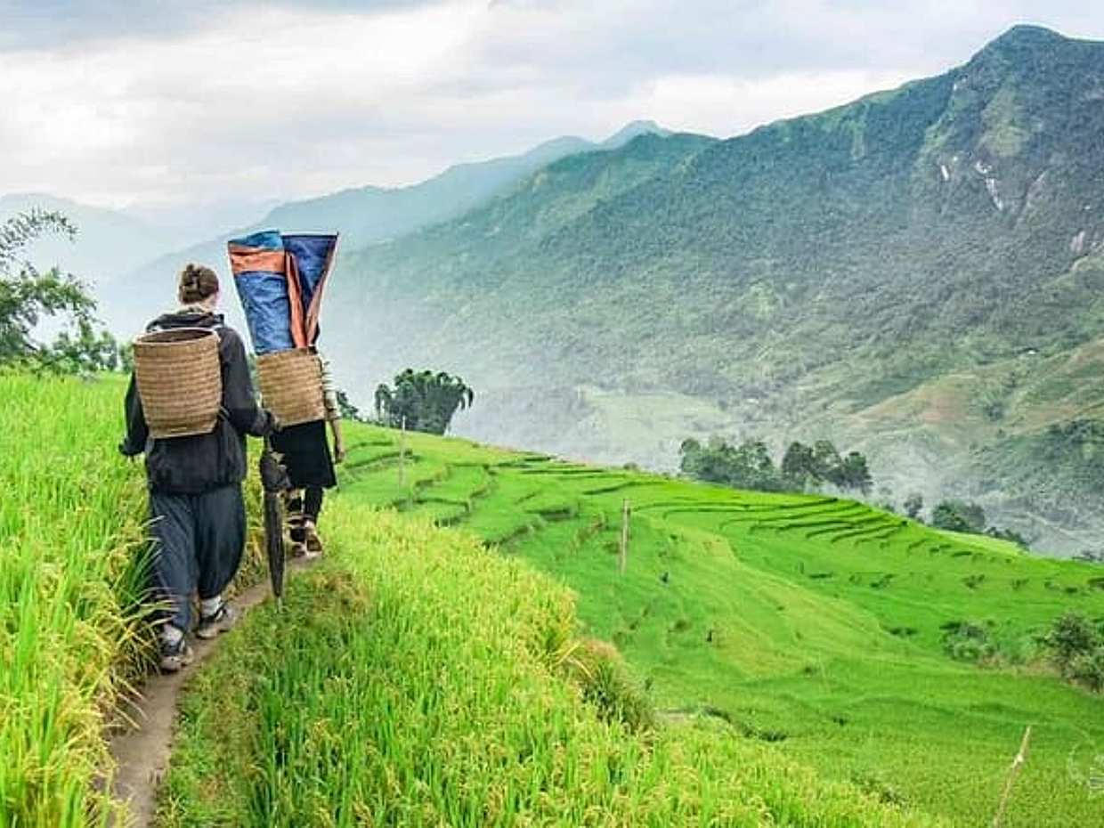 2D1N Exploring Sapa Trekking Tour - Depart From Hanoi