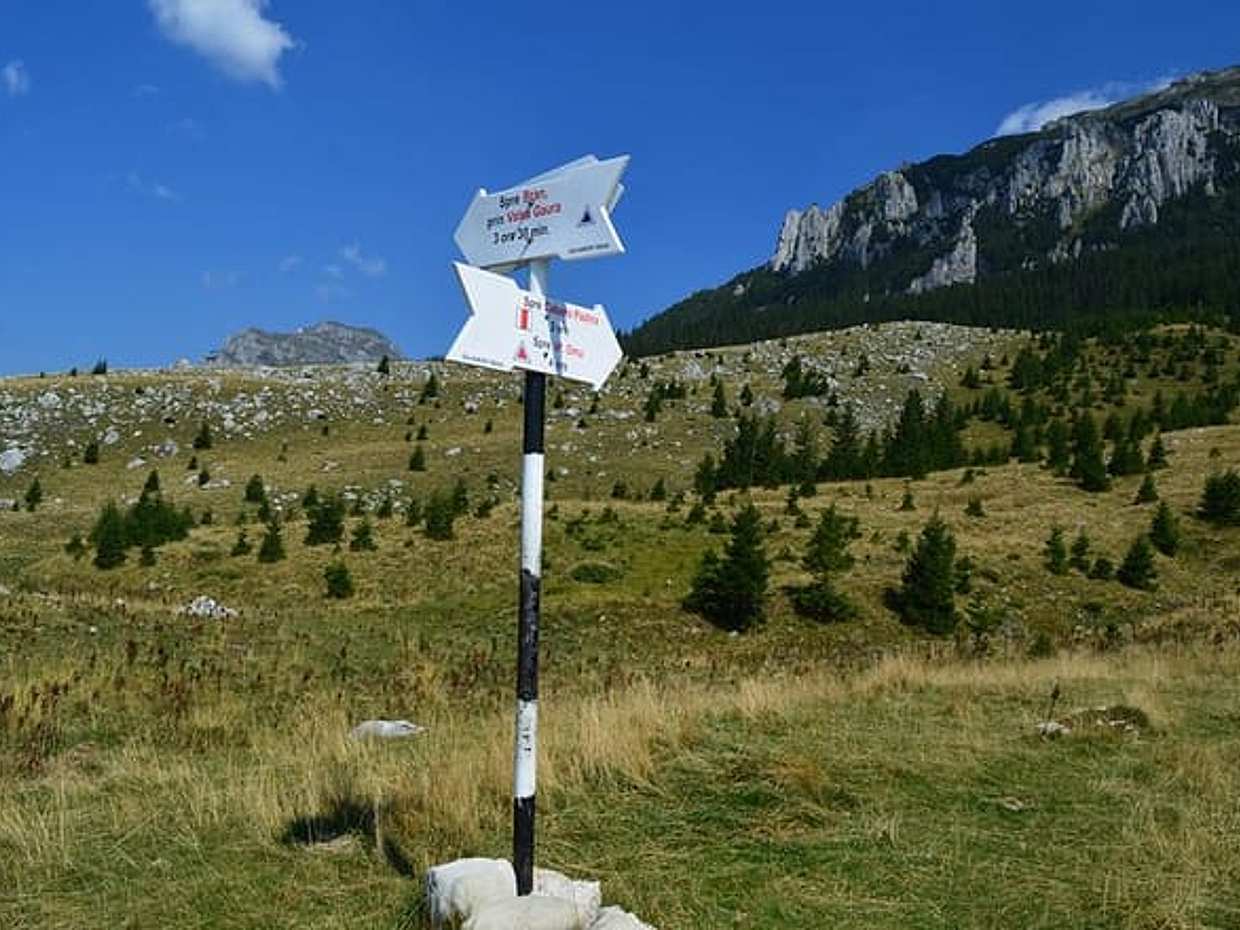 4-Day Carpathian Trek: Bucegi Mountains and Piatra Craiului National Park in Romania, Brașov, photo 4