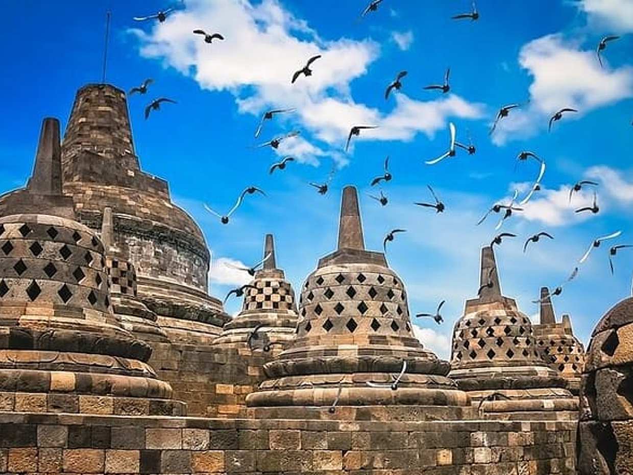 Borobudur Climb Up and Selogriyo Temple Rice Terraces Trekking, photo 3