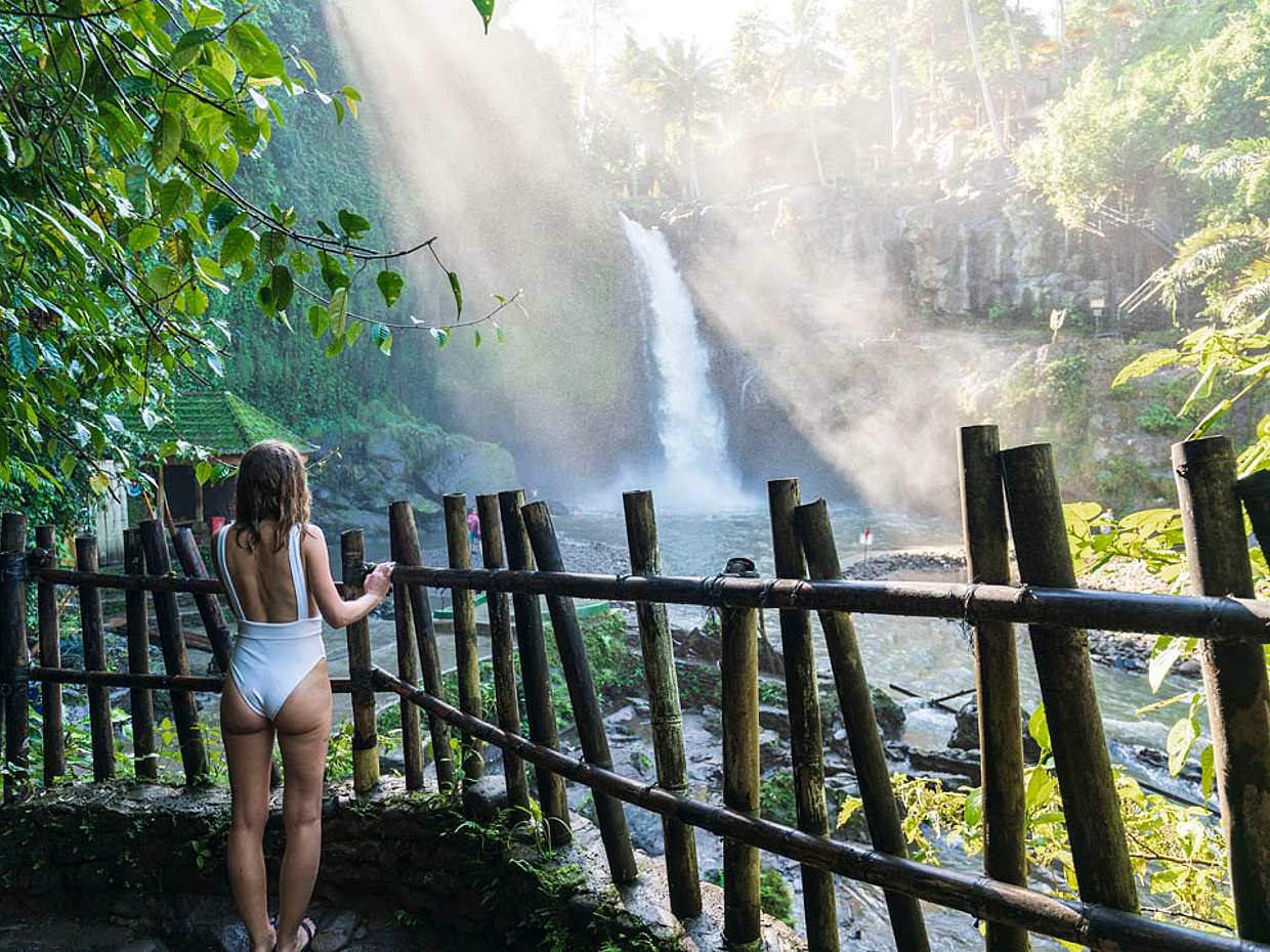 Best of Ubud Full-day Private Tour with Jungle Swing, Indonesia, photo 5