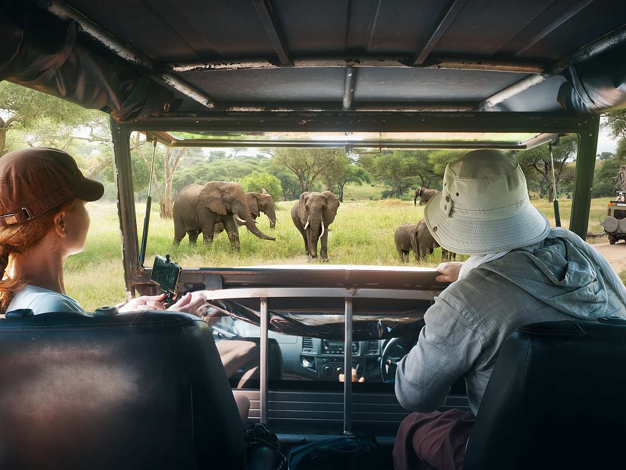 For Couples: Private Jeep Safari at Udawalawa National Park in Sri Lanka
