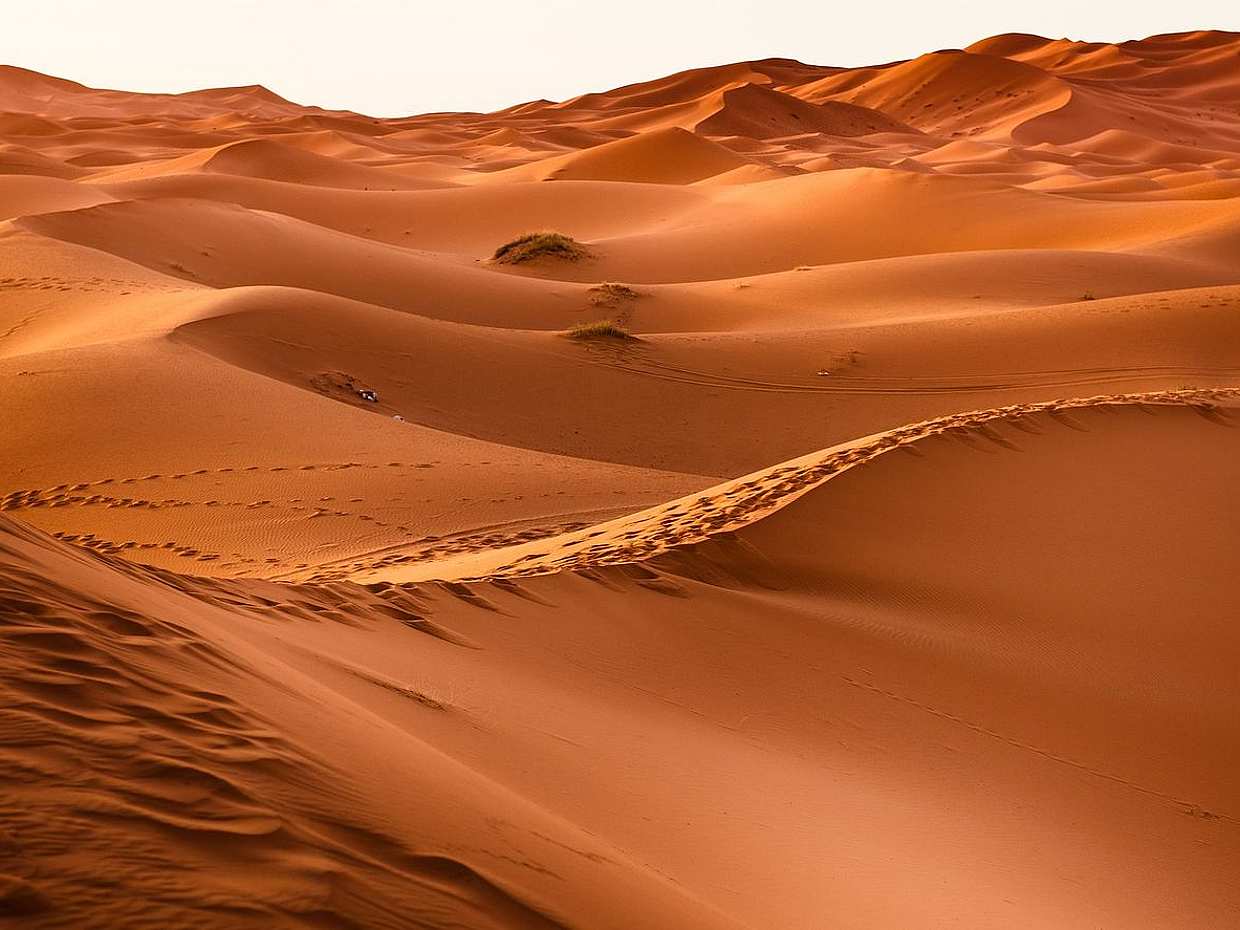 4-dniowa prywatna wycieczka z Marrakeszu do Merzougi w Maroku, Marrakesz.
, photo 5