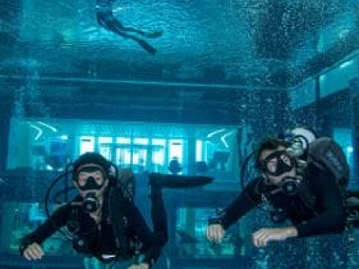 Βουτήξτε βαθιά, ανακαλύψτε την κατάδυση με αναπνευστήρα - Για αρχάριους δύτες στα Ηνωμένα Αραβικά Εμιράτα, Ντουμπάι, photo 2
