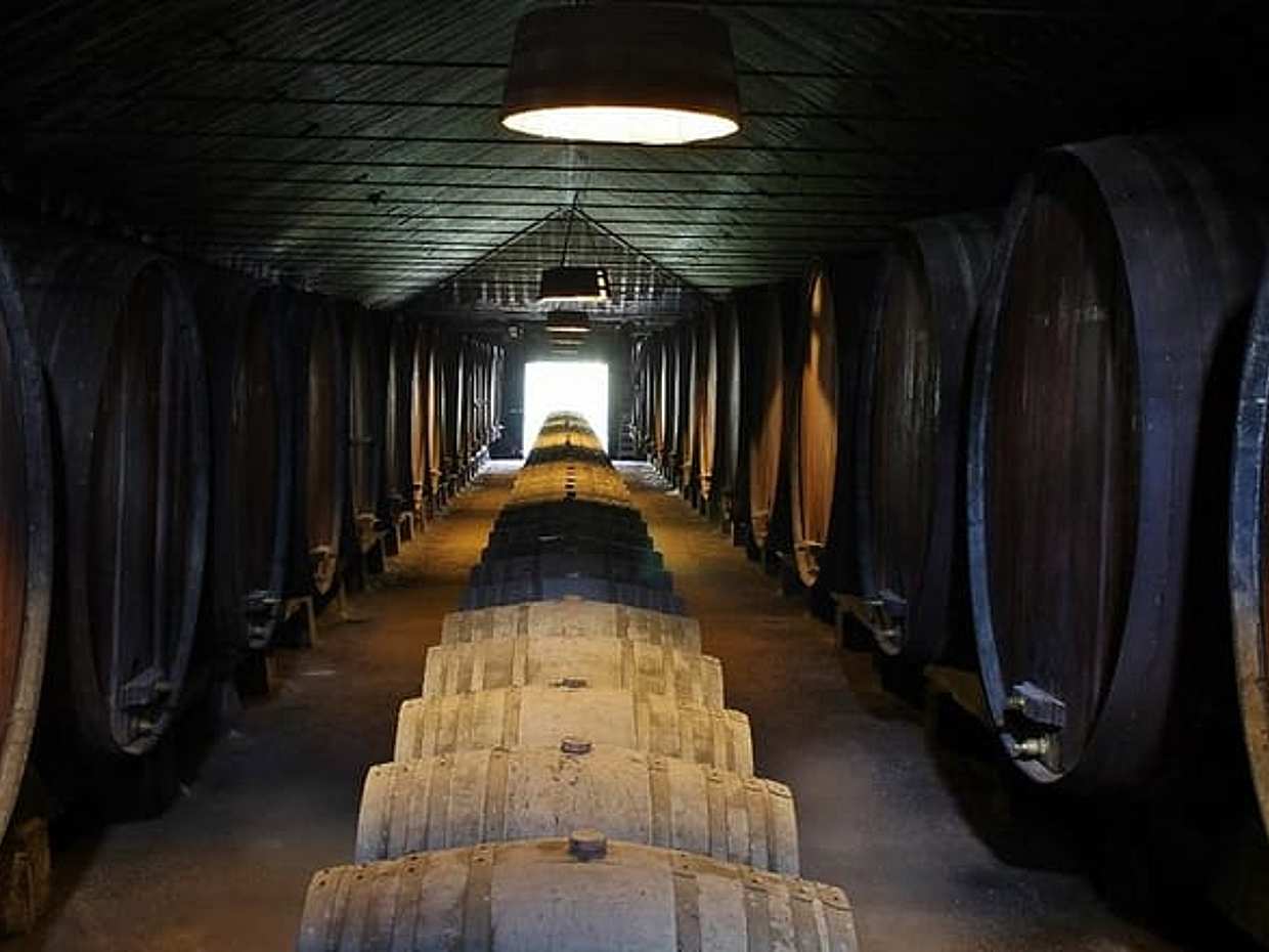 Descubra os Vinhos de Setúbal: Uma Aventura de Vinhos Privada de Lisboa em Portugal