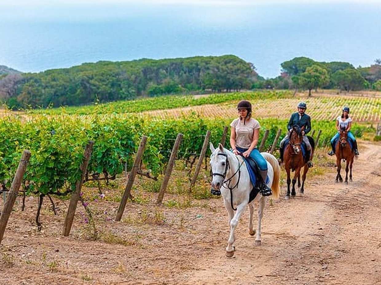 Exclusive Private Chianti Horseback Riding & Wine Tasting Experience from Florence