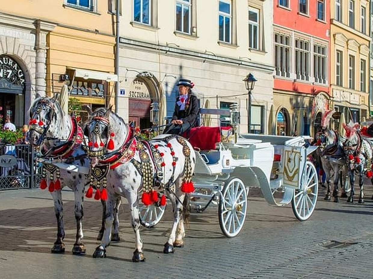 Private Transfer from Budapest to Krakow, English-speaking driver, photo 3