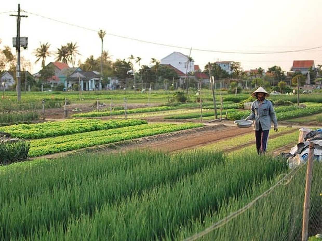 Hoi An Life Style Tour in Vietnam, photo 4