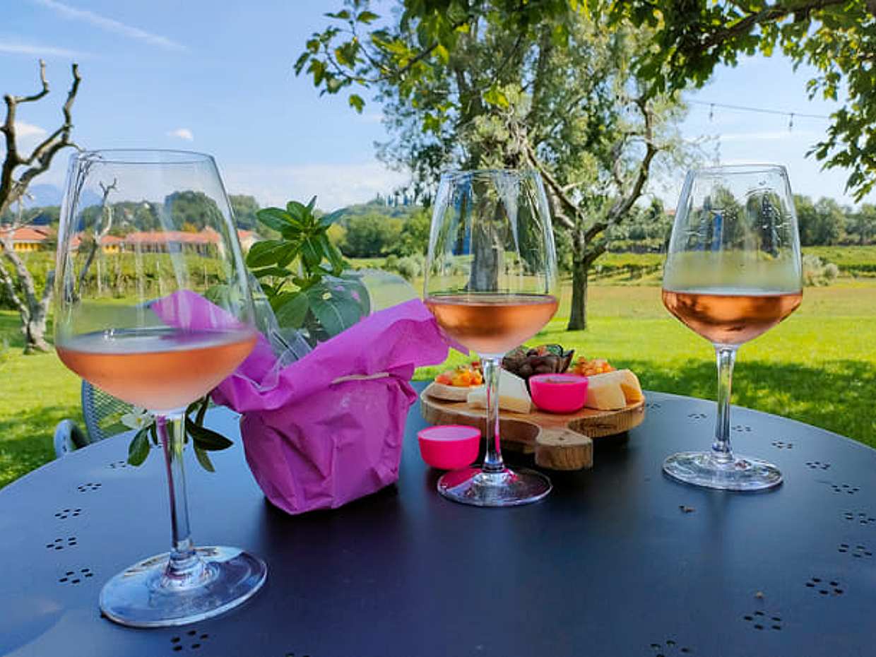 Wine Tasting with local food in Lazise countryside, photo 4