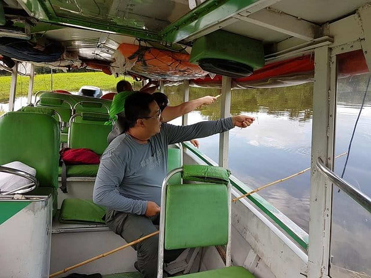Solimoes River Piranha Fishing and Alligator Watching Tour in Brazil, Manaus, photo 4