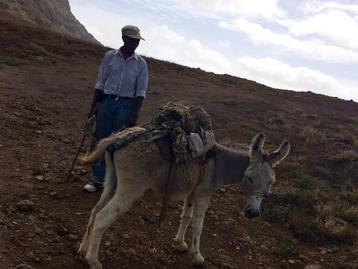 Trek Monte Verde, Doğal Park, São Vicente, 3 sa +/- (gidiş-dönüş), Yeşil Burun Adaları, photo 5