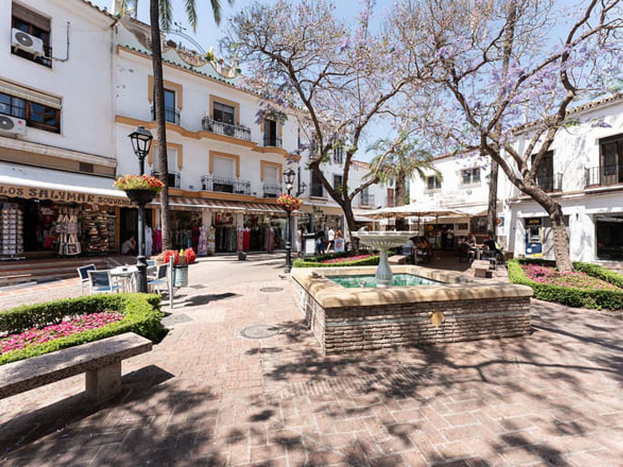 City Walk + Wine and Olive Oil tasting in Spain, Marbella, photo 4