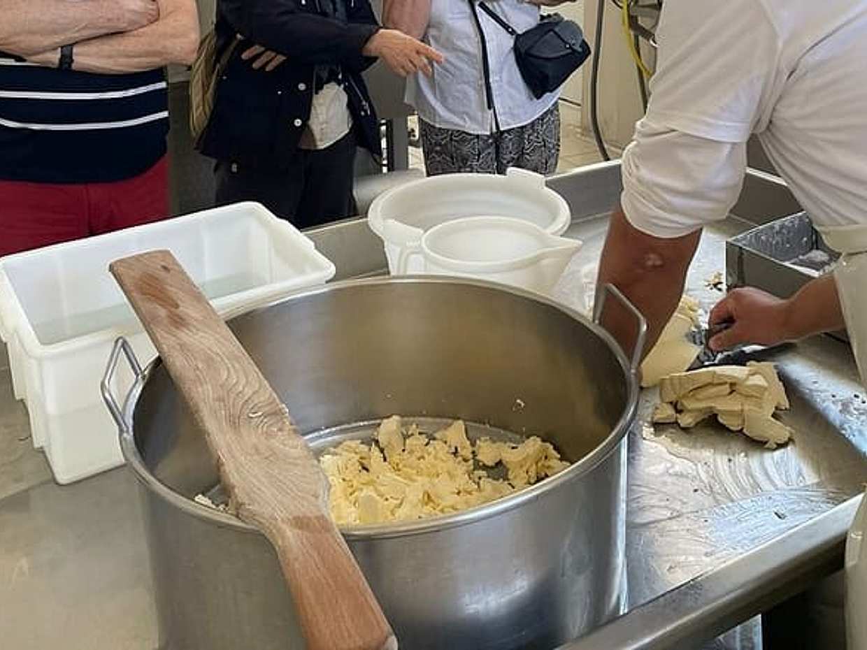 Family-Run Farm Near Ostuni: Mozzarella Experience with Tasting, photo 3