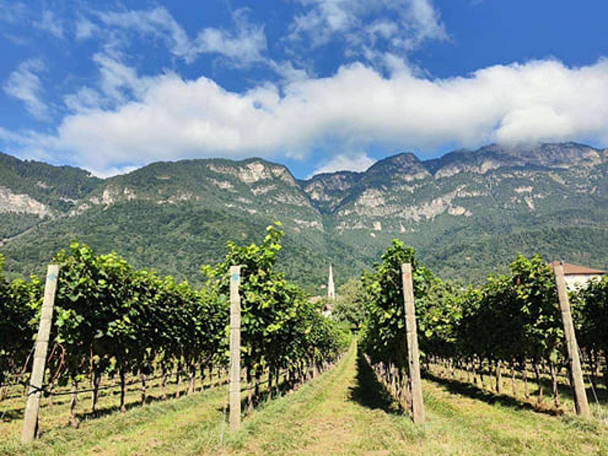 Discovering Bolzano, photo 5