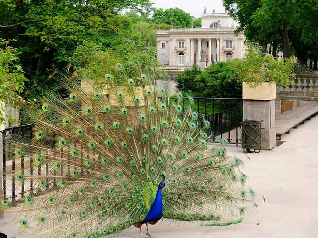 Warsaw – The Capital of Poland - PRIVATE tour from Poznan by train (12h), photo 3