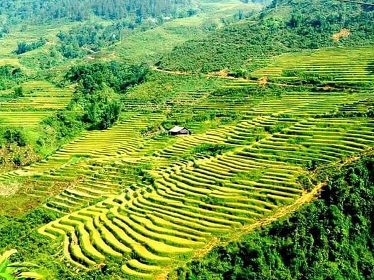 Sa Pa Trekking 3 days 4 nights - Private Tours + Overnight Train, photo 4