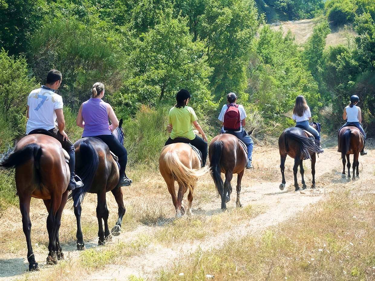 Tuscan Hills Horseback Riding Tour from Siena, Italy, photo 2