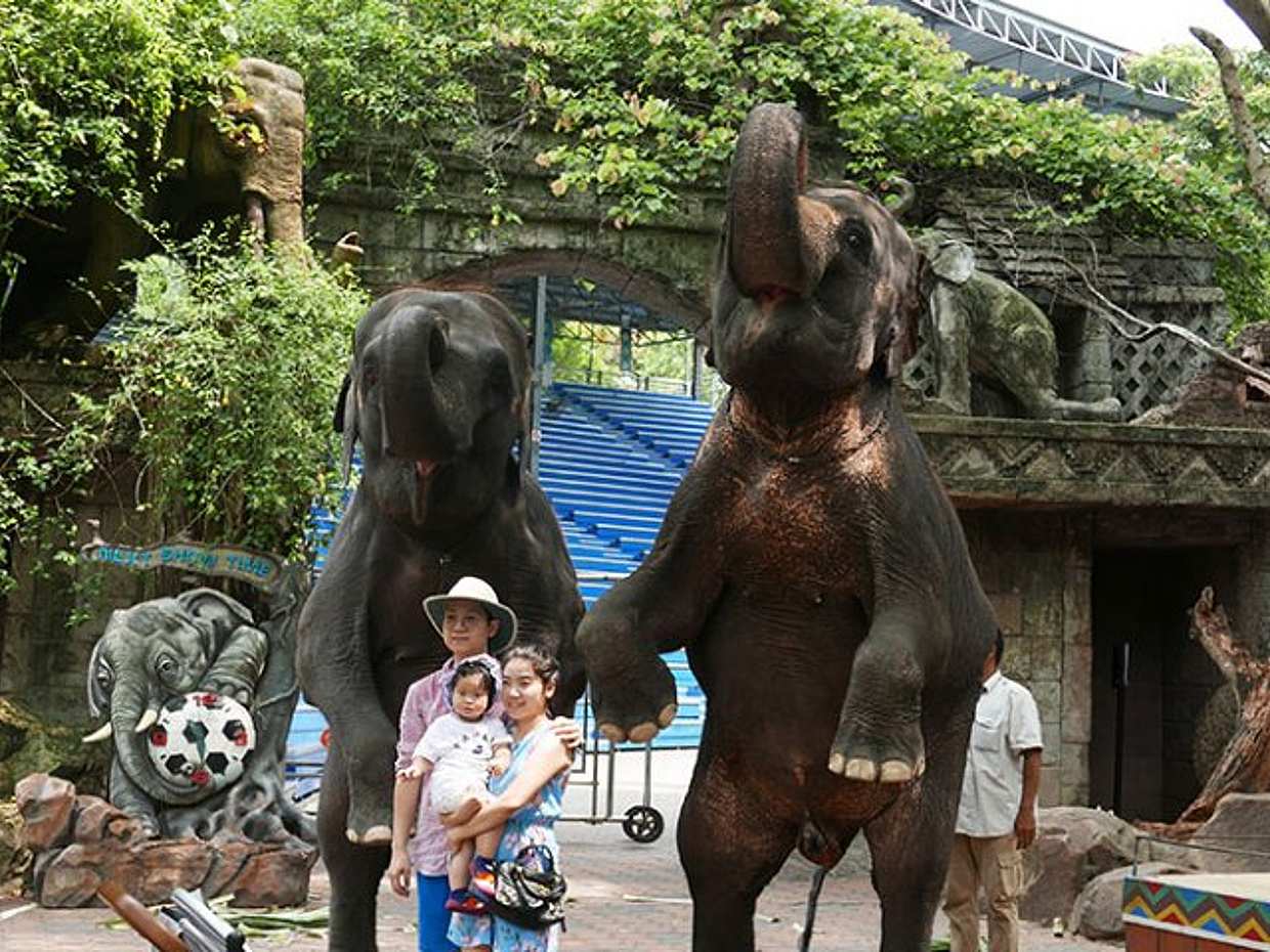 Bangkok: Safari World Tour with Safari and Marine Park Ticket and Transfer in Thailand