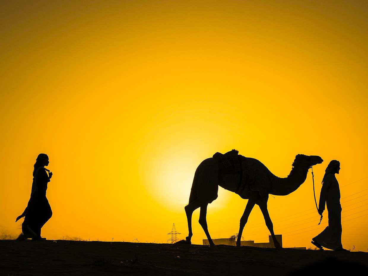 Quad Bike, Camel Ride on Sunset and Romantic Dinner with Show in Morocco, Marrakesh, photo 2
