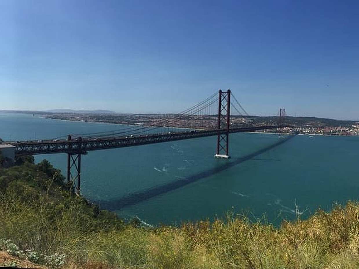 "Avistamiento de delfines en libertad en Portugal, Lisboa", photo 4