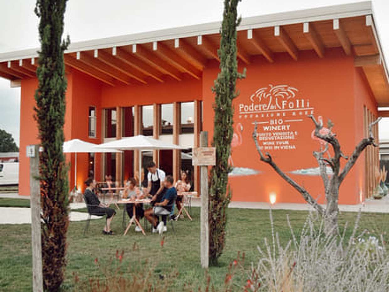 Wine Tour and Tasting of 4 Rosè Valtenesi Wines in Polpenazze, photo 5