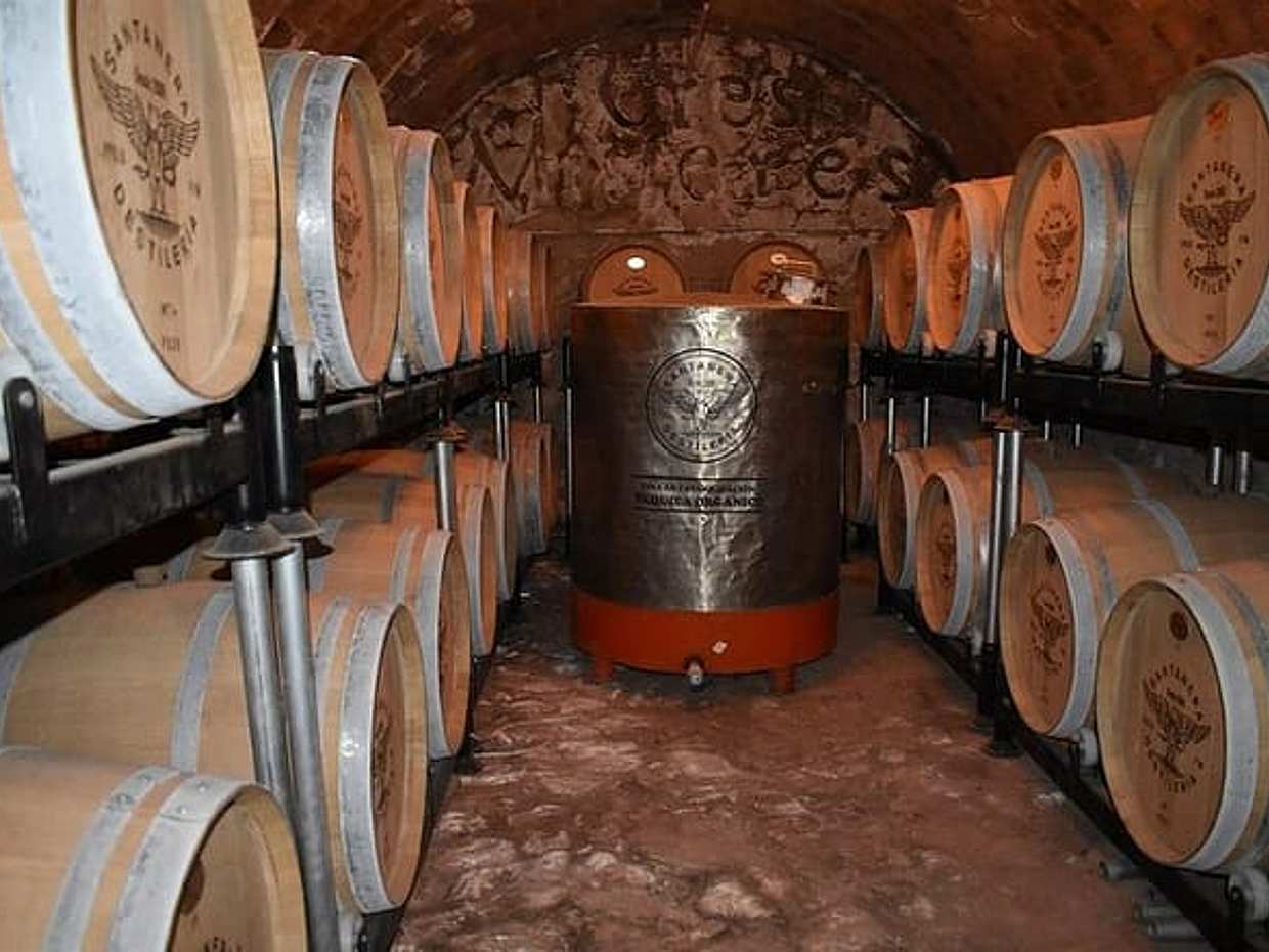 Private transfer San Miguel de Allende to Tequila with 2 hours for sightseeing, photo 3