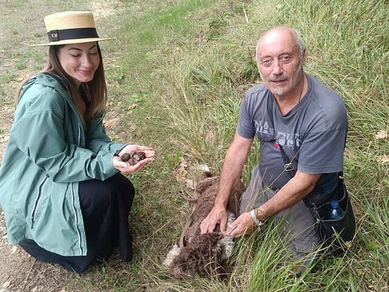 Truffle hunting experience with lunch and Chianti wine tasting, photo 3