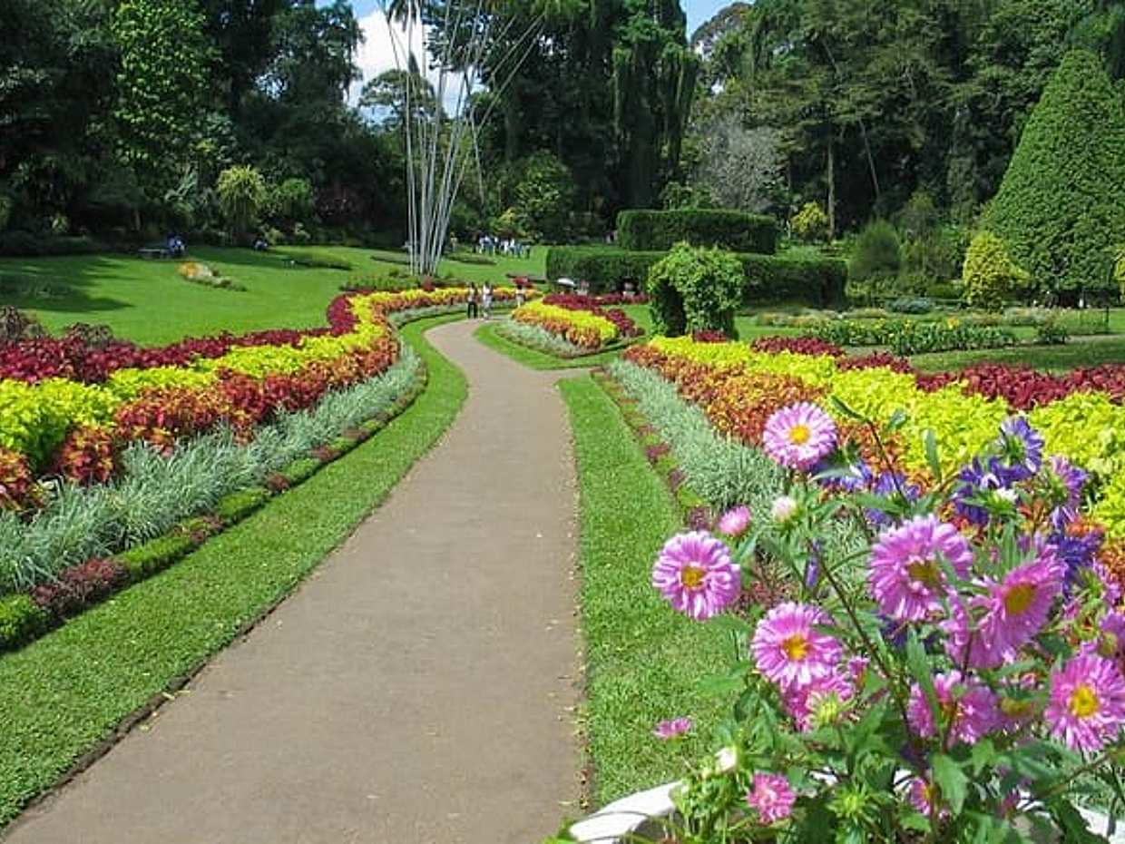 Kandy City Tour from Colombo, photo 4