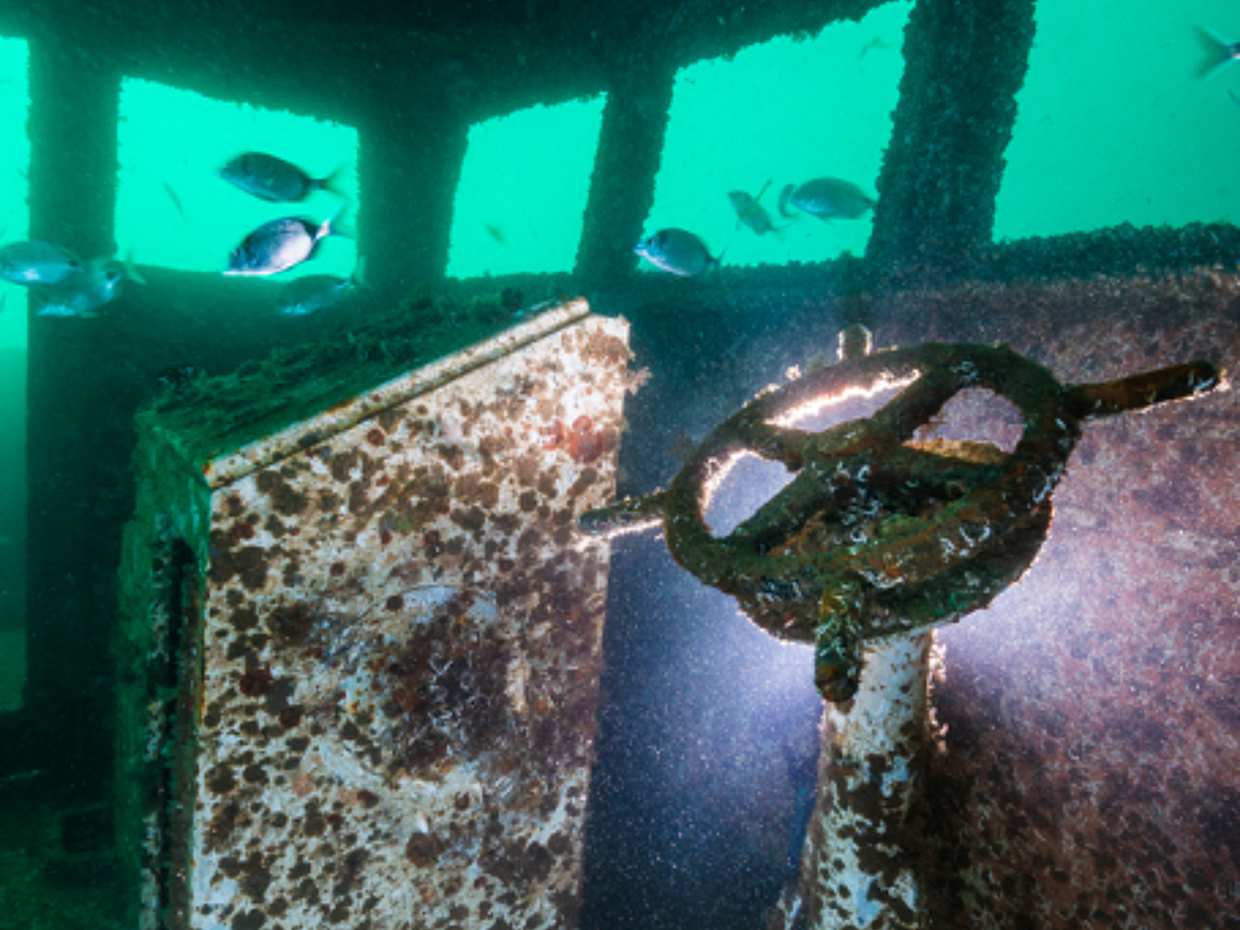 Duplo Mergulho no Fantástico Parque Ocean Revival para Mergulhadores Certificados em Portugal, Lagos.
, photo 2