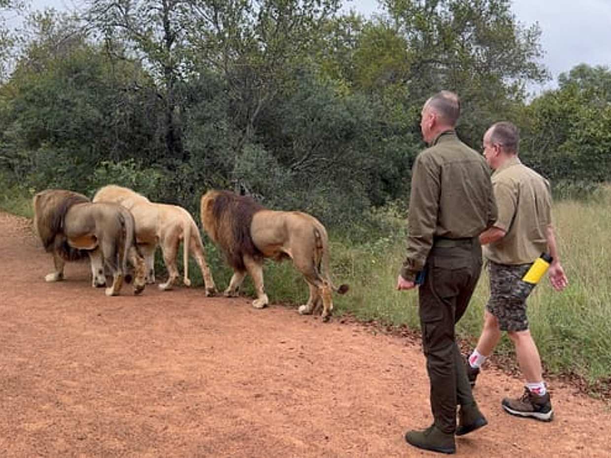 Walk with Lions in Johannesburg & Elephant Experience, South Africa, photo 2