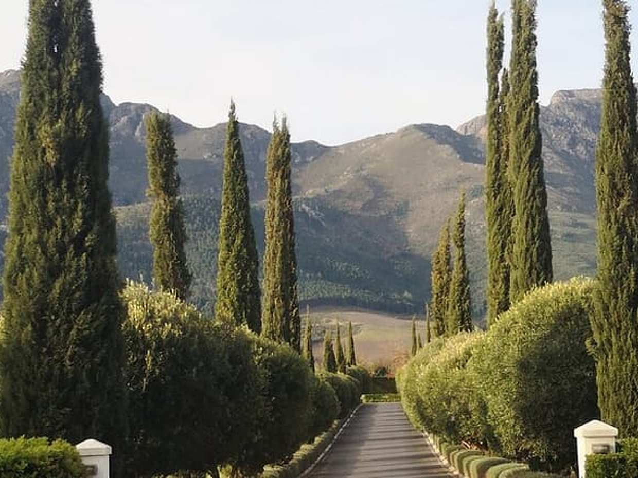 Cape Town based Private Full Day Winelands Tour to Franschhoek, photo 5