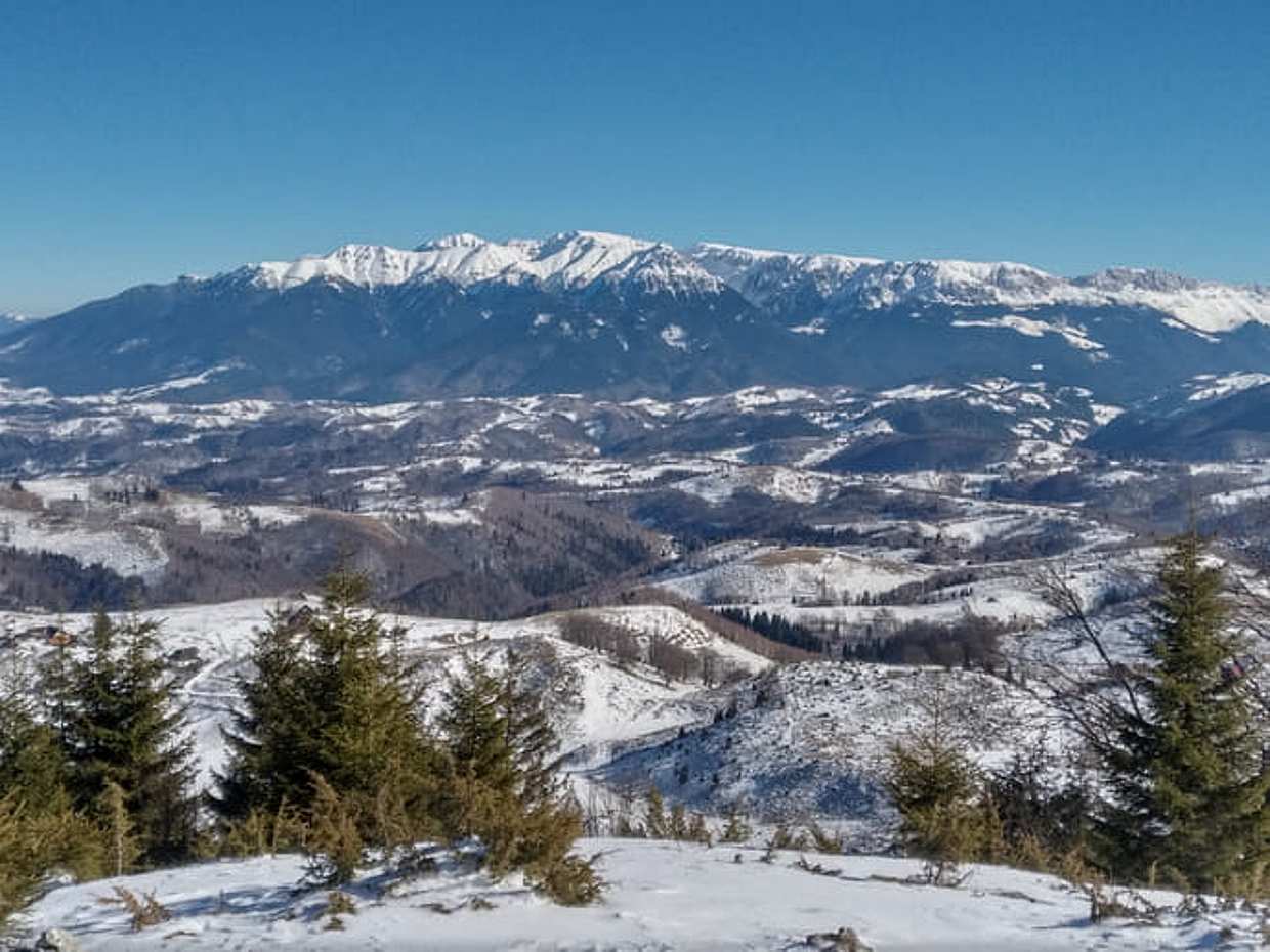 Rambling in Transylvania in Romania, Brașov