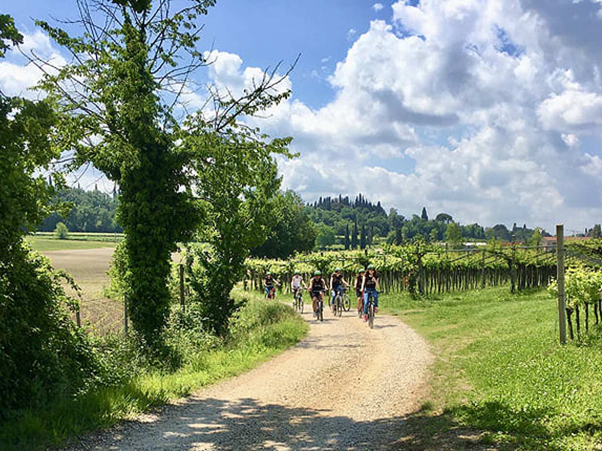 E-Bike tour with wine tasting from Polpenazze