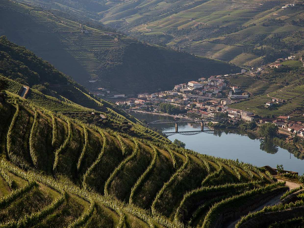 Medio día de tour del sumiller en Portugal, Duero.
, photo 4