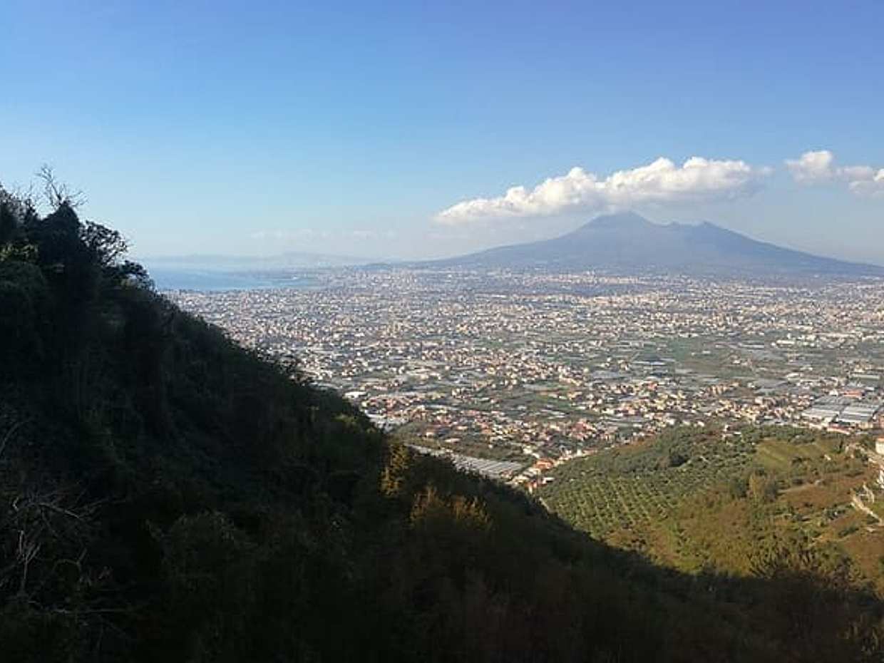 Escursione a terra Vesuvio e sito di Ercolano (6 ore), photo 4