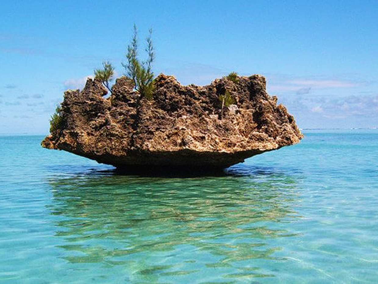 Full Day Catamaran Trip: Dolphin Encounter in the South West + Visit Benitiers Island, Mauritius, photo 3