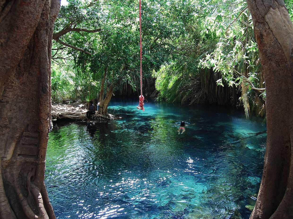 Kikuletwa (Chemka) Hot Springs Full-day Tour from Arusha in Tanzania