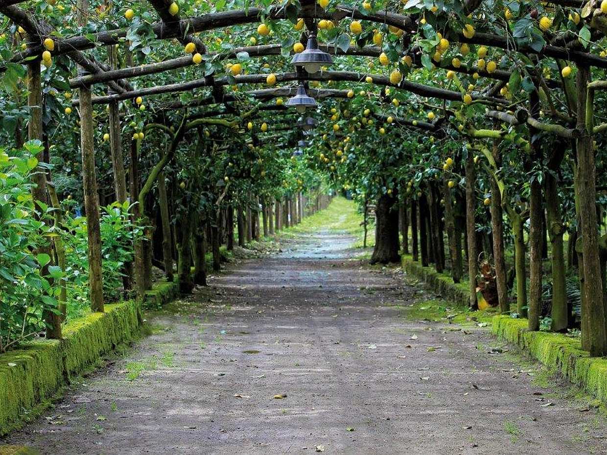 E-Bike Tour in Sorrent mit Limoncello-Verkostung in Italien, Sorrento E-Bike
, photo 4